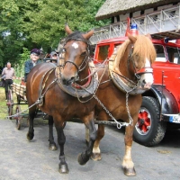 Feuerwehrfest-2007_32