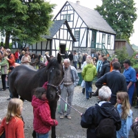 Internationaler-Museumstag